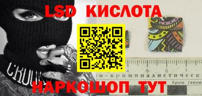 крисы Камышлов