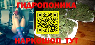 дмт Кандалакша