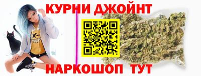 крисы Камышлов