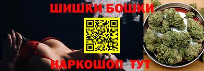 крисы Камышлов