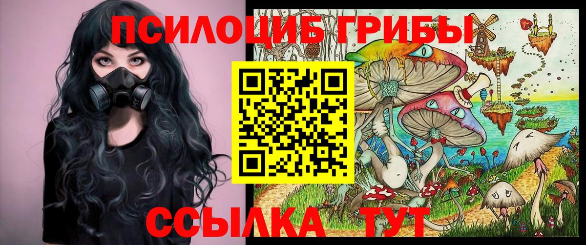 Псилоцибиновые грибы Psilocybe Лангепас